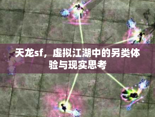 天龙sf，虚拟江湖中的另类体验与现实思考