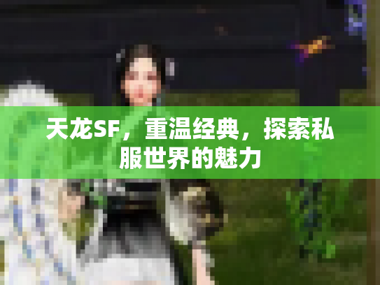 天龙SF，重温经典，探索私服世界的魅力