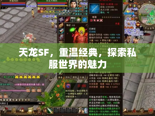 天龙SF，重温经典，探索私服世界的魅力