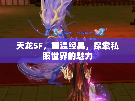 天龙SF，重温经典，探索私服世界的魅力