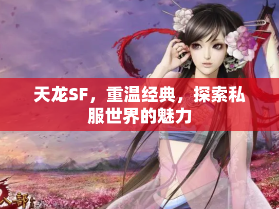 天龙SF，重温经典，探索私服世界的魅力