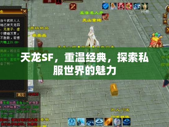天龙SF，重温经典，探索私服世界的魅力