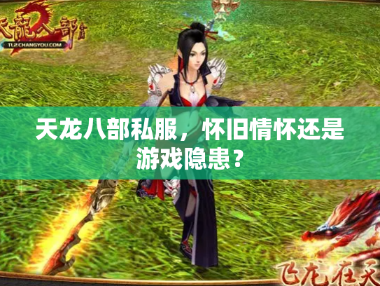 天龙八部私服，怀旧情怀还是游戏隐患？