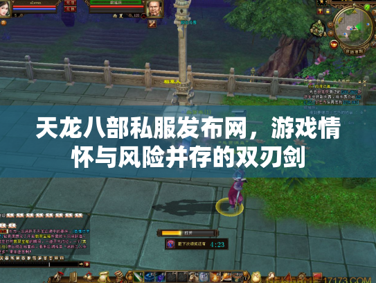 天龙八部私服发布网，游戏情怀与风险并存的双刃剑