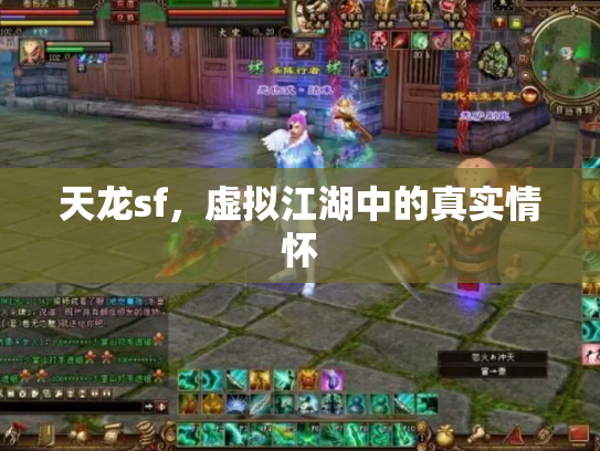 天龙sf，虚拟江湖中的真实情怀