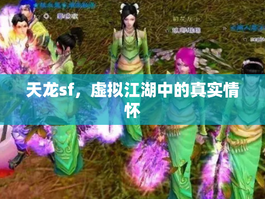 天龙sf，虚拟江湖中的真实情怀