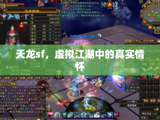 天龙sf，虚拟江湖中的真实情怀