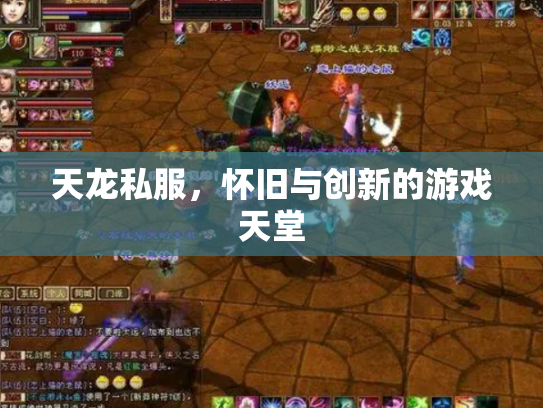 天龙私服，怀旧与创新的游戏天堂