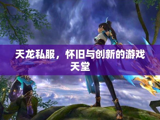 天龙私服，怀旧与创新的游戏天堂