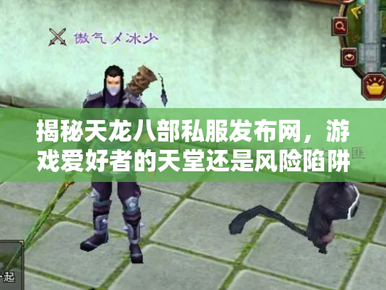 揭秘天龙八部私服发布网，游戏爱好者的天堂还是风险陷阱？