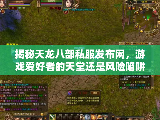 揭秘天龙八部私服发布网，游戏爱好者的天堂还是风险陷阱？