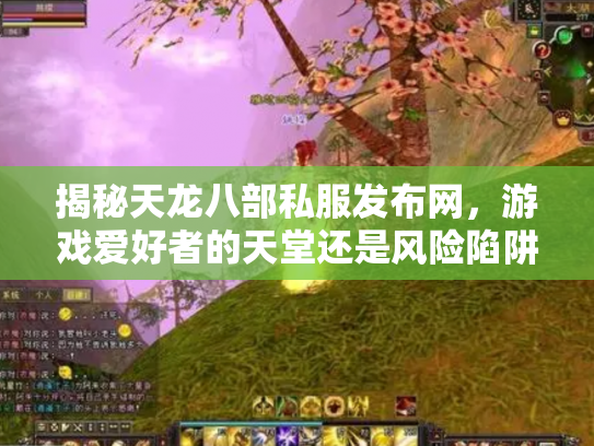 揭秘天龙八部私服发布网，游戏爱好者的天堂还是风险陷阱？