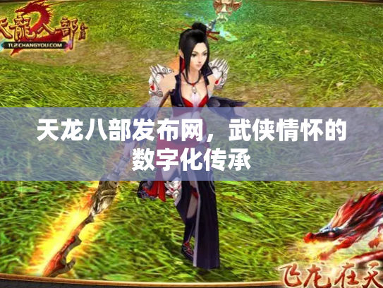 天龙八部发布网，武侠情怀的数字化传承