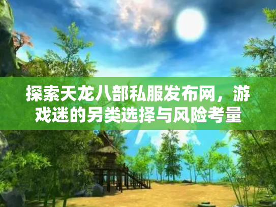 探索天龙八部私服发布网，游戏迷的另类选择与风险考量