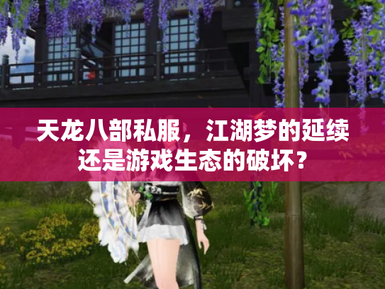 天龙八部私服，江湖梦的延续还是游戏生态的破坏？