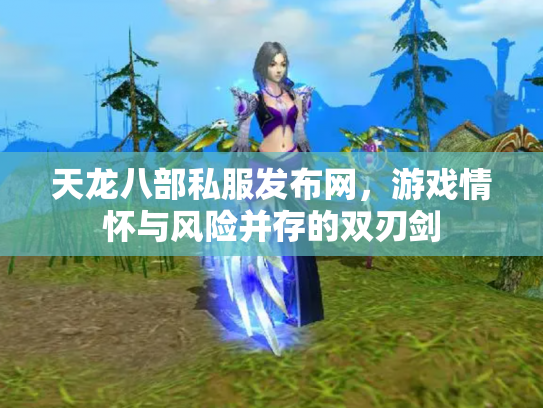 天龙八部私服发布网，游戏情怀与风险并存的双刃剑