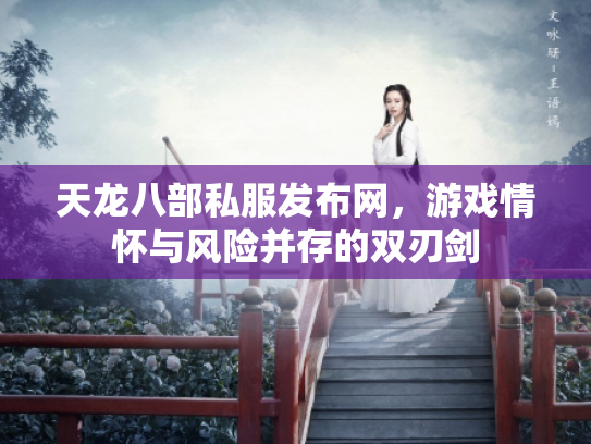 天龙八部私服发布网，游戏情怀与风险并存的双刃剑