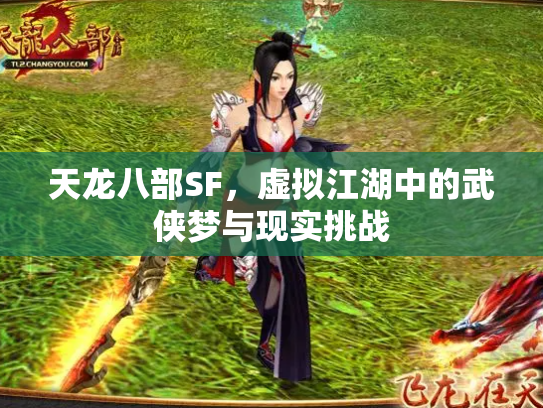 天龙八部SF，虚拟江湖中的武侠梦与现实挑战