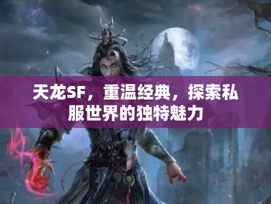 天龙SF，重温经典，探索私服世界的独特魅力