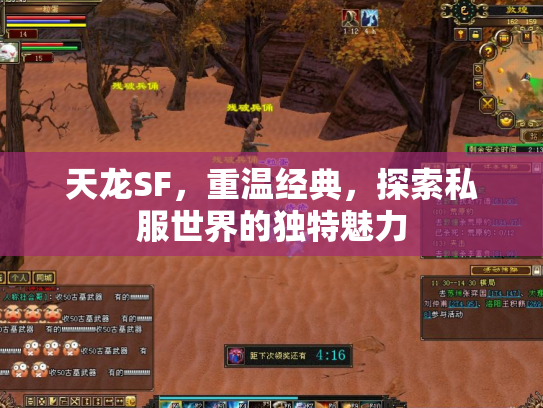 天龙SF，重温经典，探索私服世界的独特魅力