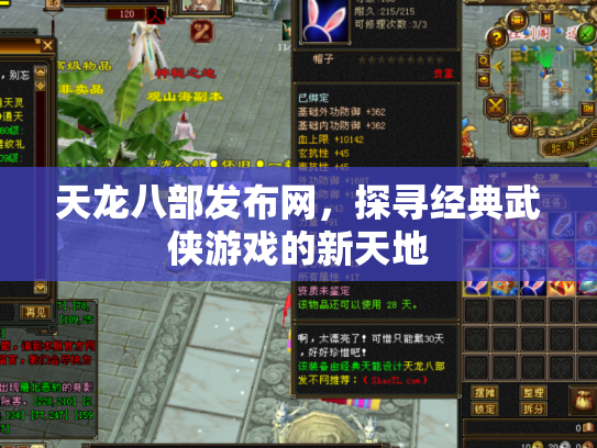 天龙八部发布网，探寻经典武侠游戏的新天地