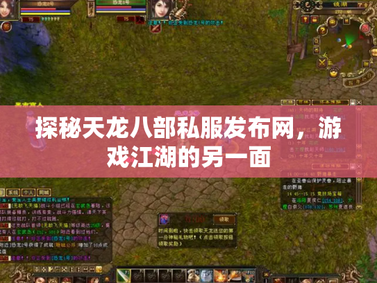 探秘天龙八部私服发布网，游戏江湖的另一面