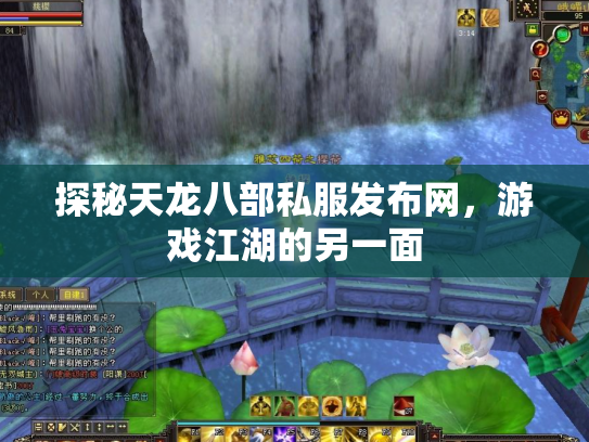 探秘天龙八部私服发布网，游戏江湖的另一面