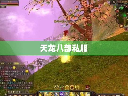 天龙八部私服
