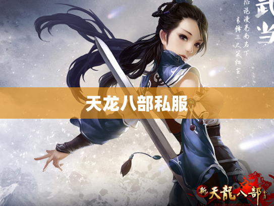 天龙八部私服