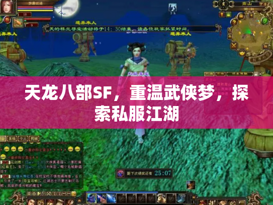 天龙八部SF，重温武侠梦，探索私服江湖