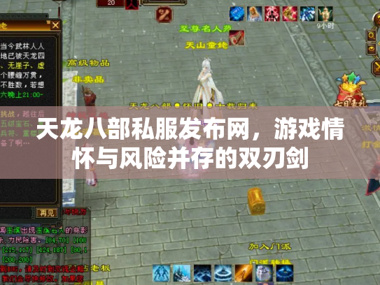 天龙八部私服发布网，游戏情怀与风险并存的双刃剑