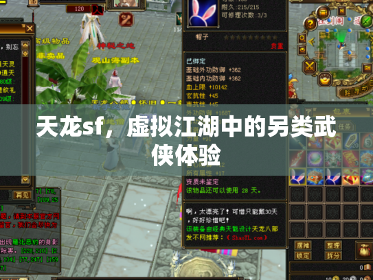 天龙sf，虚拟江湖中的另类武侠体验