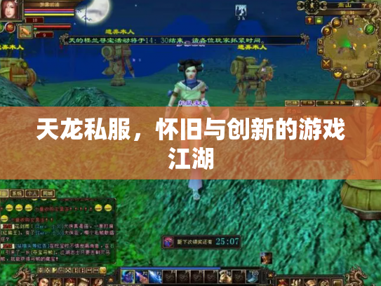 天龙私服，怀旧与创新的游戏江湖