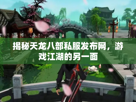 揭秘天龙八部私服发布网，游戏江湖的另一面
