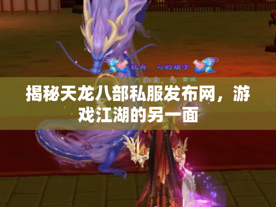 揭秘天龙八部私服发布网，游戏江湖的另一面