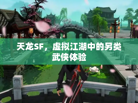 天龙SF，虚拟江湖中的另类武侠体验