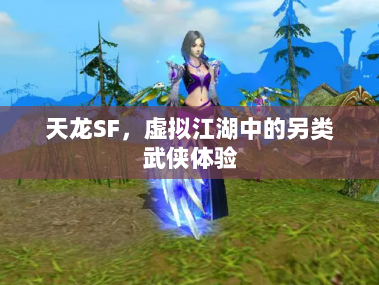 天龙SF，虚拟江湖中的另类武侠体验