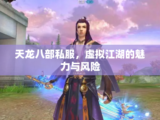 天龙八部私服，虚拟江湖的魅力与风险