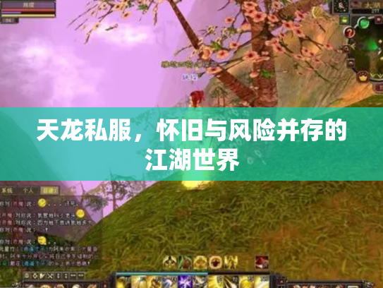 天龙私服，怀旧与风险并存的江湖世界