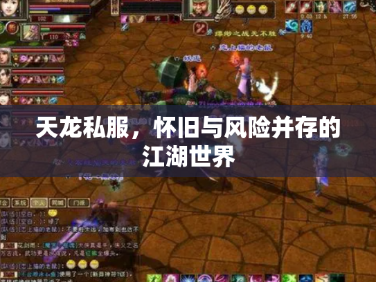 天龙私服，怀旧与风险并存的江湖世界