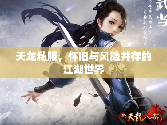 天龙私服，怀旧与风险并存的江湖世界
