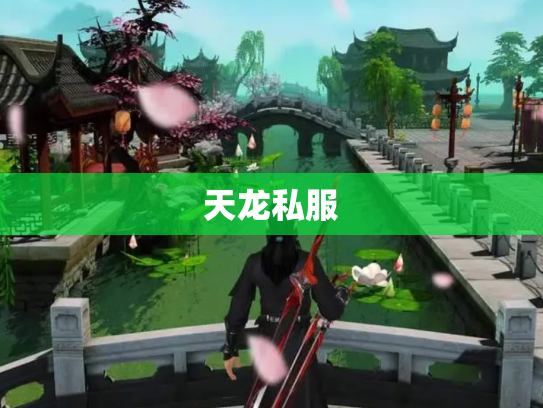 天龙私服