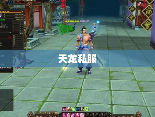 天龙私服