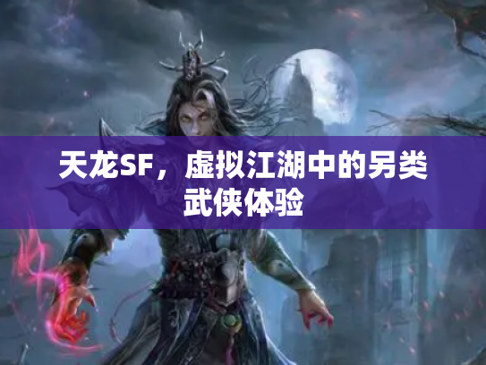 天龙SF，虚拟江湖中的另类武侠体验