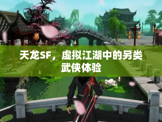 天龙SF，虚拟江湖中的另类武侠体验