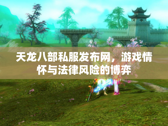 天龙八部私服发布网，游戏情怀与法律风险的博弈