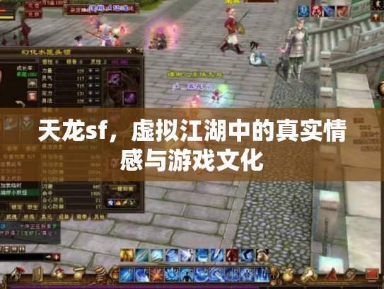 天龙sf，虚拟江湖中的真实情感与游戏文化