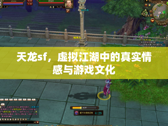 天龙sf，虚拟江湖中的真实情感与游戏文化