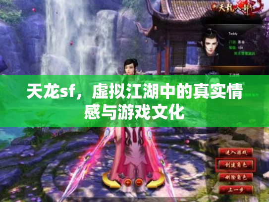 天龙sf，虚拟江湖中的真实情感与游戏文化