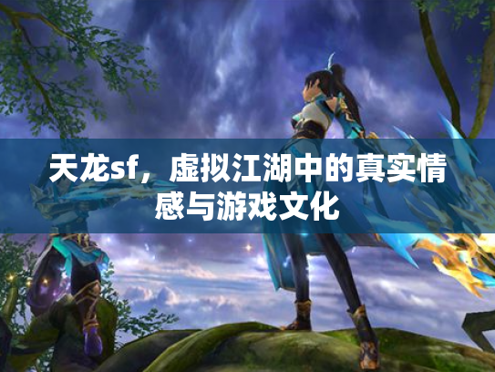 天龙sf，虚拟江湖中的真实情感与游戏文化